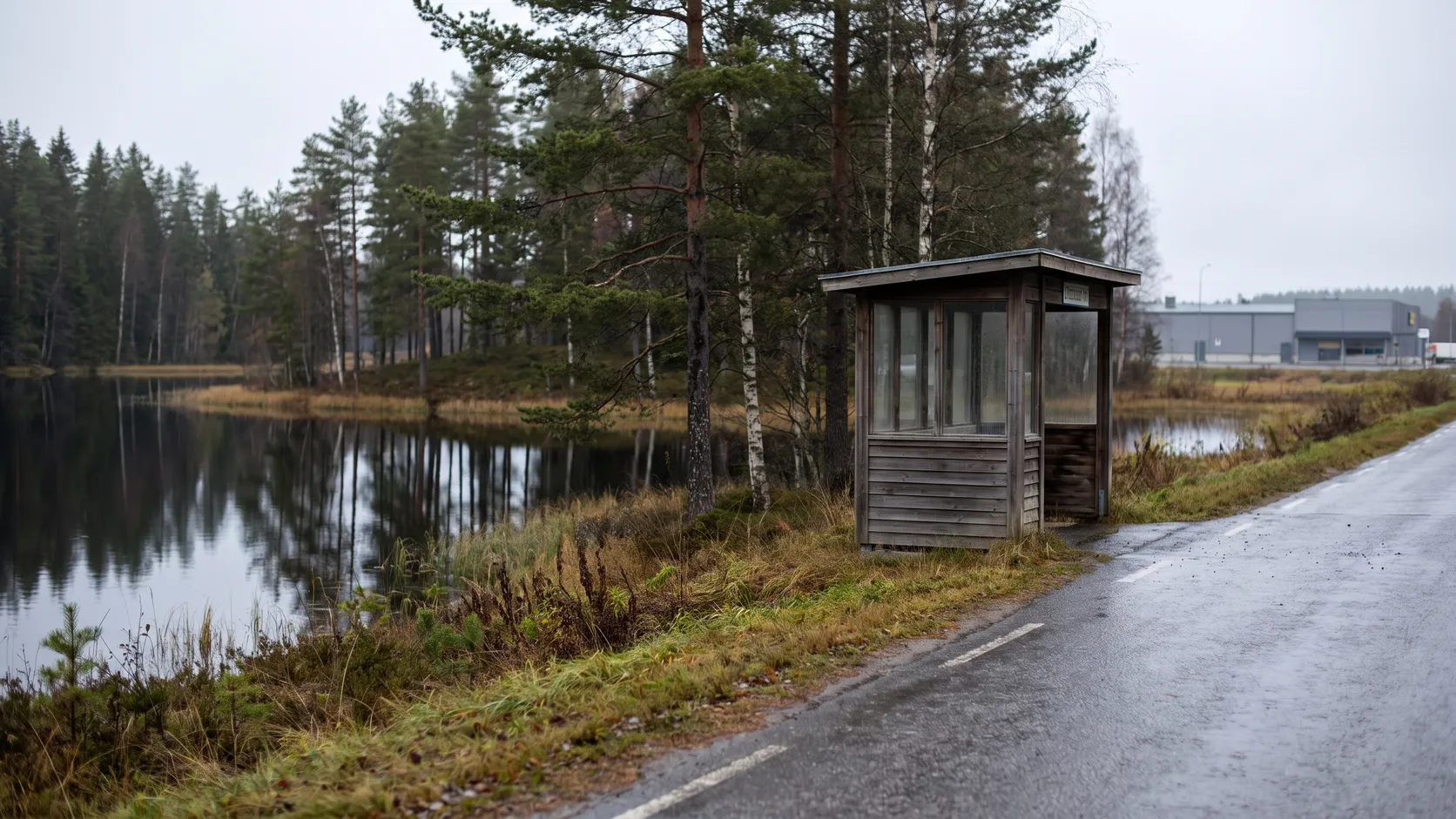 Liten skogssjö intill en förortsväg med busshållplats.